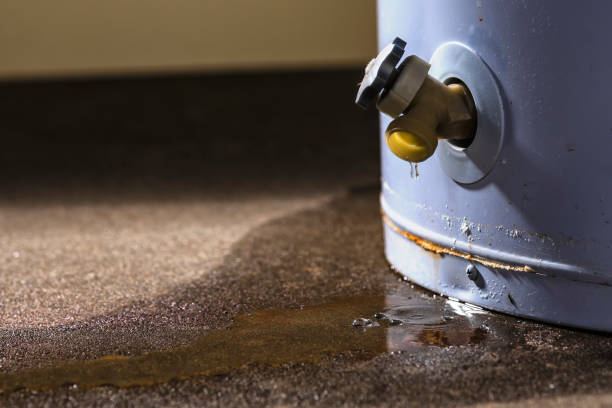 Best Fire Damage Restoration  in West Brattleboro, VT