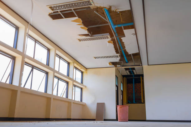Best Fire Damage Restoration  in West Brattleboro, VT