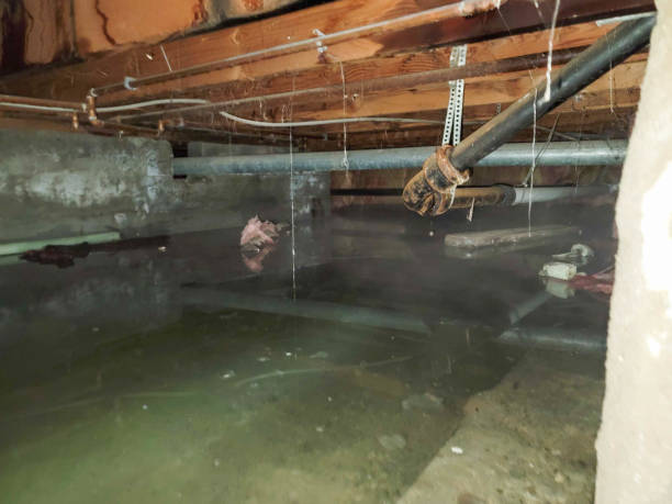 Best Commercial water damage restoration  in West Brattleboro, VT