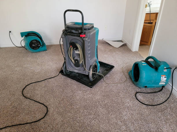 Best Commercial water damage restoration  in West Brattleboro, VT