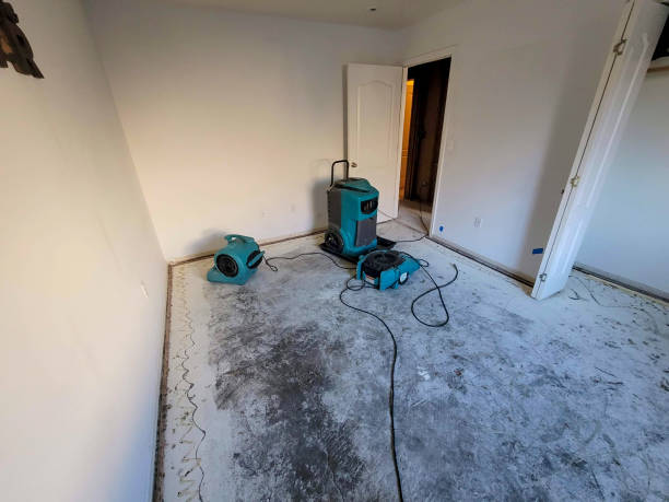 Best Professional water damage repair  in West Brattleboro, VT