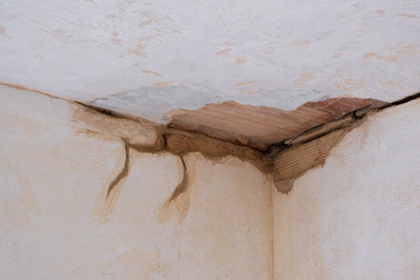 Best 24/7 water damage repair  in West Brattleboro, VT