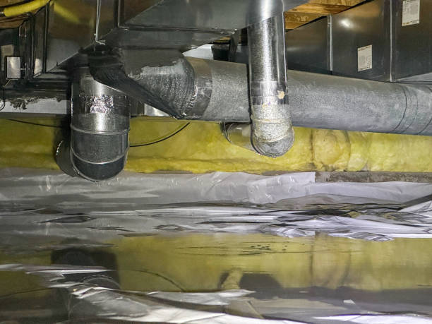 Best Water damage cleanup near me  in West Brattleboro, VT