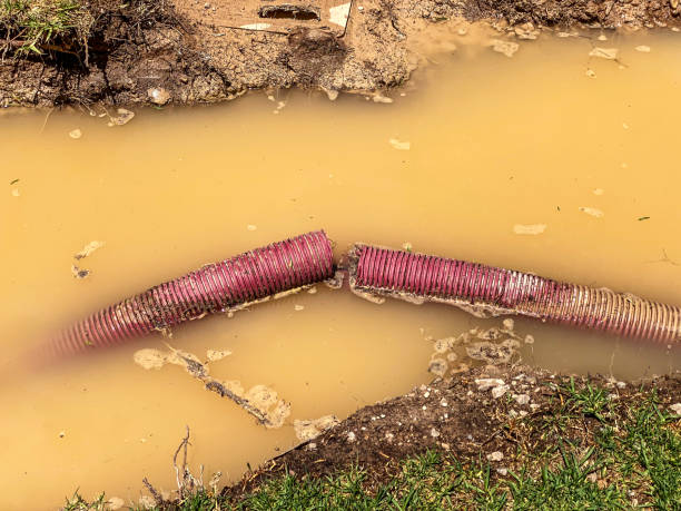 Trusted VT Water damage restoration Experts