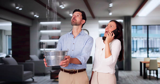 Best Water damage restoration near me  in West Brattleboro, VT